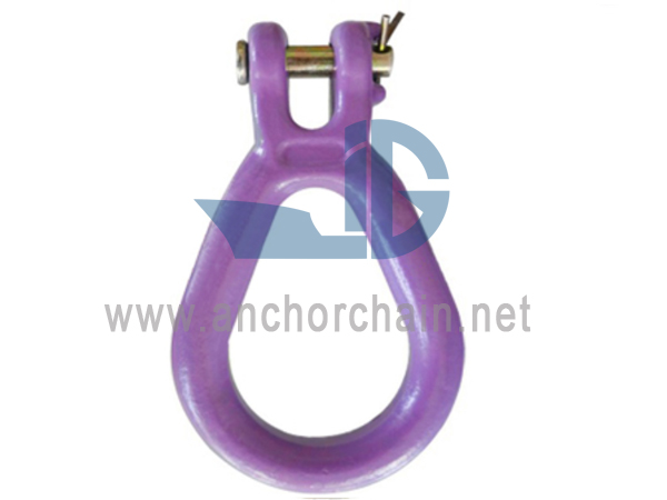 G80 Clevise pirnikujuline link