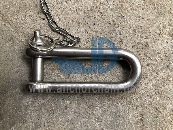 Pikk D-Shackle pikk tüüp, SS304 VÕI SS316